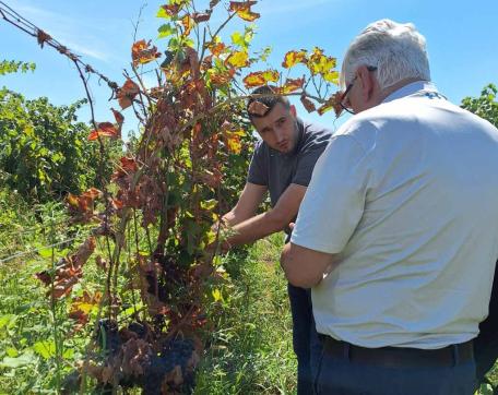 Studijska posjeta profesora Vladimira Vujanovića Biotehničkom fakultetu